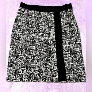 AnnTaylor Skirt